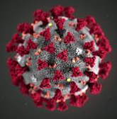 coronavirus image