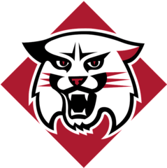 davidson logo